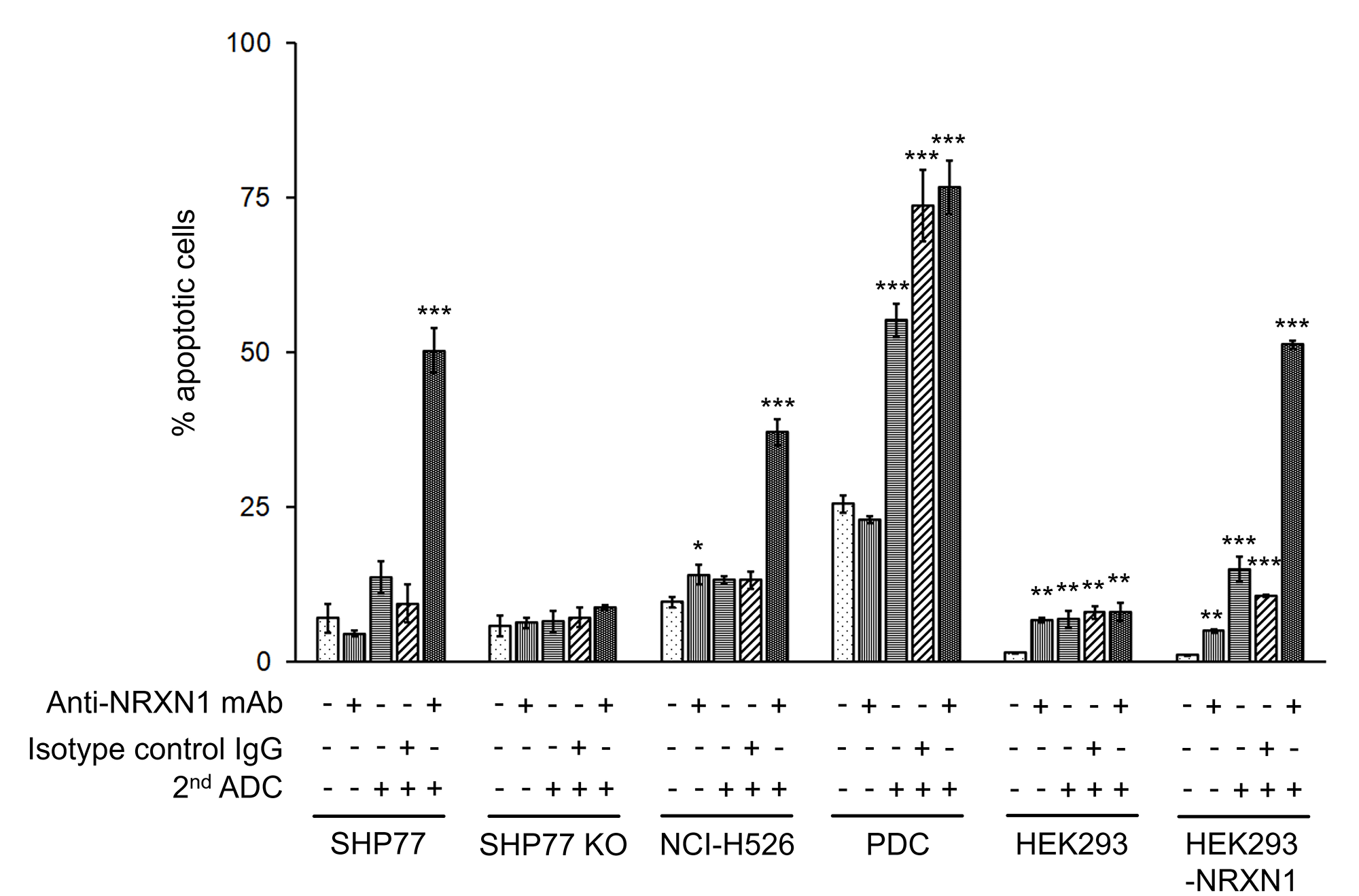 Figure 4: Apoptosis assay of NRXN1-targeted ADC at IC<sub>50</sub> dose calculated by growth inhibition curves.