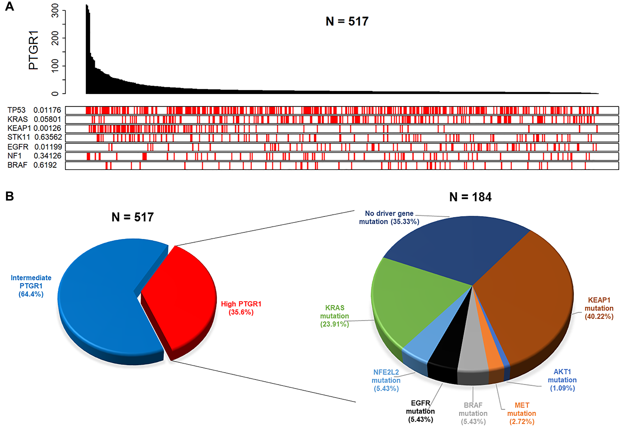 Figure 6: Clinical data analyses from TCGA reveal distinct patient subgroups with elevated PTGR1 that are likely to be predicted responders to LP-184.