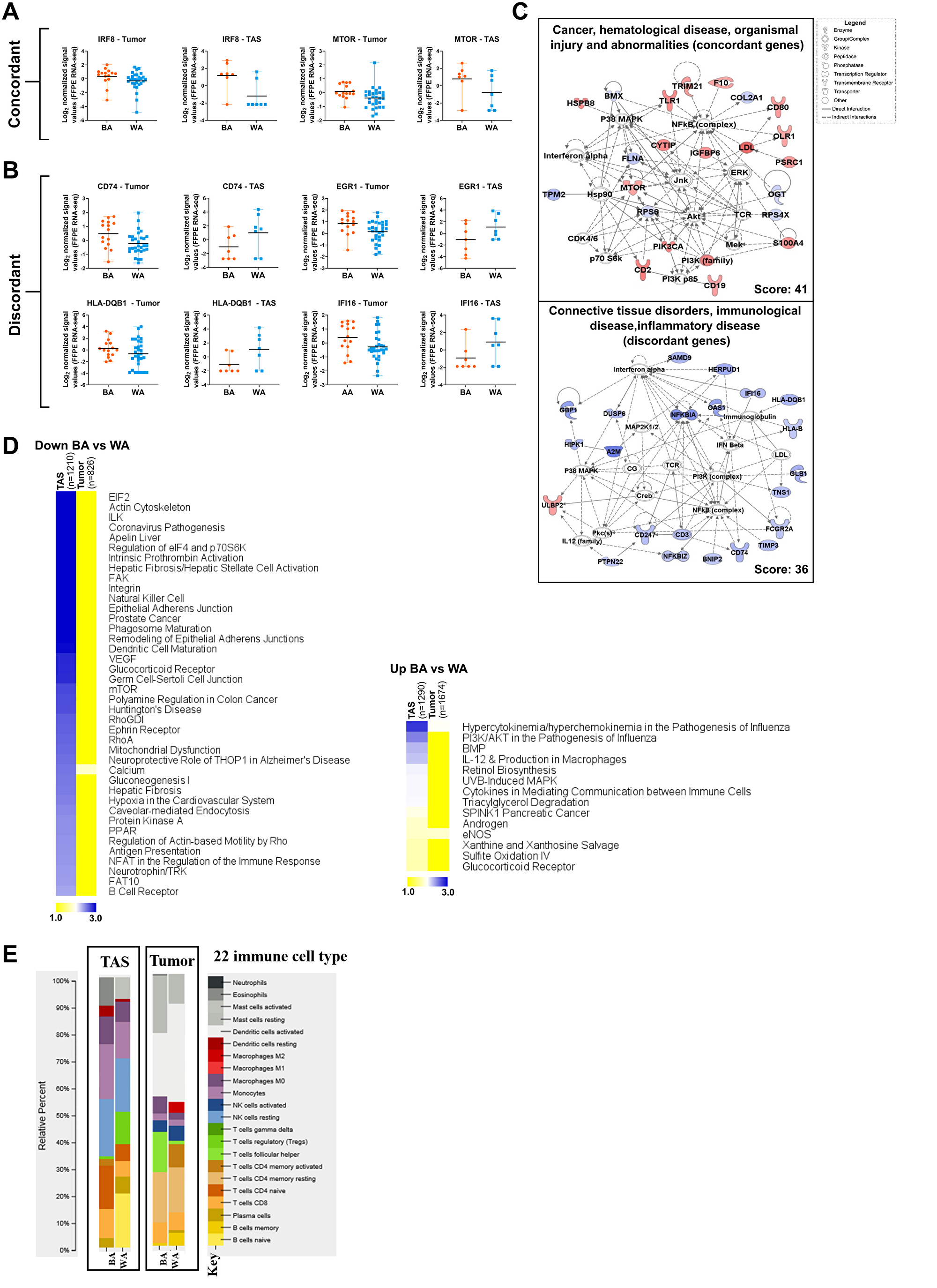 Figure 3: Comparative pathway analysis of significantly differentially expressed genes in BA versus WA PCa patients in tumor and tumor-adjacent stroma (TAS).
